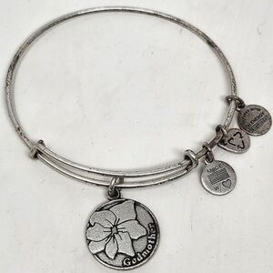 Alex and Ani Godmother charm bracelet - silver tone EUC
